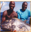 Giant Trevally