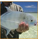 World wide fishing safaris who we are
